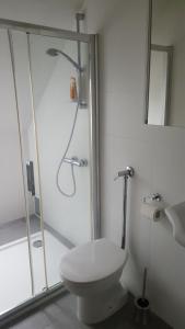 y baño blanco con ducha y aseo. en Charmante Wohnung im Stadtkern, St Wendel, en Sankt Wendel