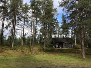 a small house in the middle of a forest at Petäjälammen Turistimajat in Kuusamo