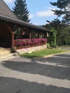 Zahrada ubytování House Nada