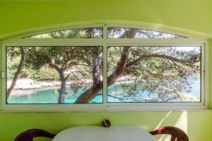 ein Fenster mit Blick auf einen Baum und Wasser in der Unterkunft Seafront Apartments Olivera in Blato