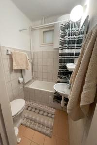 a bathroom with a toilet and a tub and a sink at Körmendi Apartman in Orosháza