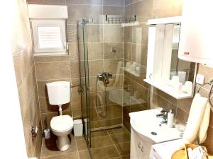 un bagno con doccia, WC e lavandino di Apartman Živanović a Valjevo Altre 18 foto