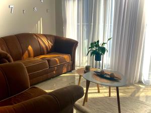 Area soggiorno di Apartman Živanović