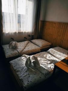 ŠkrdloviceにあるPenzion Vysočinaのベッドルームに動物の詰め物が置かれたベッド2台
