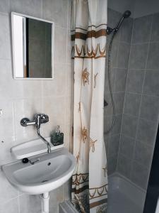 a bathroom with a sink and a shower curtain at Penzion Vysočina in Škrdlovice