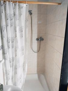 Kúpeľňa v ubytovaní Penzion Vysočina