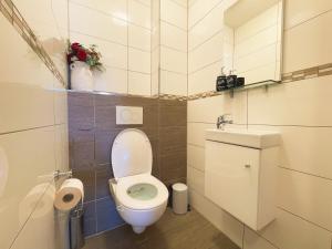 a small bathroom with a toilet and a sink at Lake Side Vienna II in Vienna +4 photos