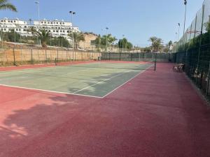 a tennis court with two dogs standing on it at Orlando - Sea View Apartment in Costa Adeje in Adeje
