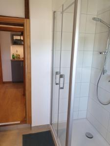 y baño con ducha y puerta de cristal. en Torhaus Rattelsdorf - Wohnung Edelweiß en Rattelsdorf