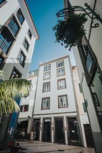 a tall white building with a tree in front of it at Le Vingale in Funchal