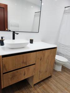 een badkamer met een wastafel, een spiegel en een toilet bij LA CASITA DEL NORTE in Marrón