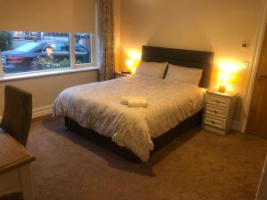 a bedroom with a bed with two lamps and a window at MapleHouse B&B in Drogheda