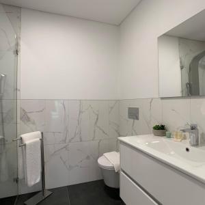 ein Badezimmer mit einem Waschbecken, einem WC und einem Spiegel in der Unterkunft PALHOTAS GUEST HOUSE - Apartamento Jardim Santa Bárbara in Braga