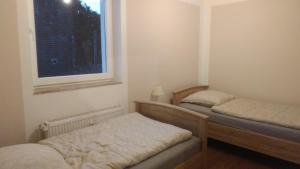 two beds in a small room with a window at FeWo am Uenglinger Tor in Stendal