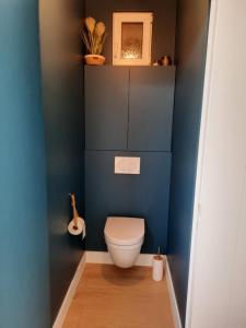 een badkamer met een toilet en een blauwe muur bij Lelies at westende in Middelkerke