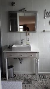 a bathroom with a sink and a mirror at bel-etage in Liebshausen