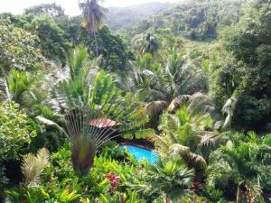 a view of a mountain with palm trees and a pool at Bungalow charmant à Pointe-Noire in Pointe-Noire