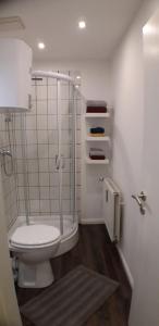 La salle de bains est pourvue d'une douche et de toilettes. dans l'établissement Gleis acht, à Bredstedt
