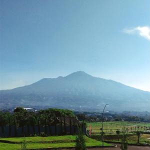 a mountain in the distance with a fence in a field at Samikrasan Homestay in Tlekung
