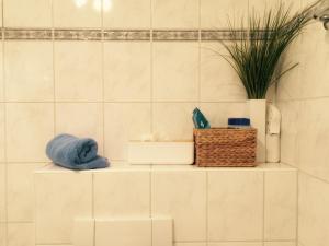 a shelf in a bathroom with towels and a plant at Hinter den Dünen D93 in Prerow
