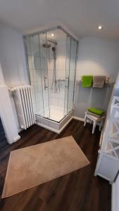 a glass shower in a room with a wooden floor at Gästehaus Rektor-Petersen in Bredstedt