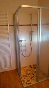 a shower with a glass door in a bathroom at Feriendomizil Belvedere in Walchum