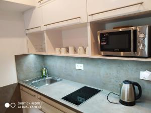 a kitchen with a sink and a microwave at Penzion Relax Martina in České Budějovice