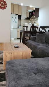 - un salon avec un canapé et une table basse dans l'établissement Apartman Ema, à Valjevo