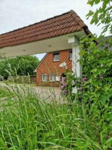 a brick house in a field of tall grass at zum Aal in Wester-Ohrstedt