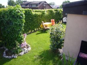 Zahrada ubytování Reni's Oase am Bodensee