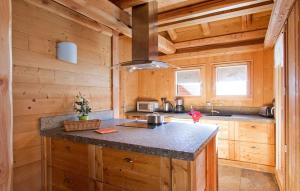 a kitchen with wooden walls and a large counter top at Odalys Chalet Le Renard Lodge in Les Deux Alpes