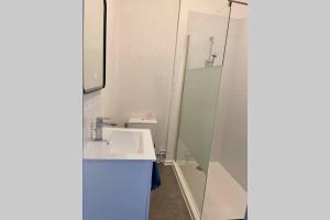 La salle de bains est pourvue d'un lavabo et d'une douche en verre. dans l'établissement Appartements Rue des Jardins, à Perpignan