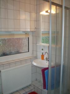 a bathroom with a sink and a shower at Ferienhaus Astrid in Osteel