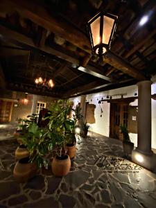 a lobby with potted plants and a light fixture at Mi Ranchito Chignahuapan Hotel in Chignahuapan