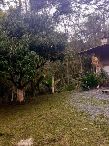 einen Hof mit einem Baum und einem Haus in der Unterkunft Sítio Bona Vita in Nova Trento