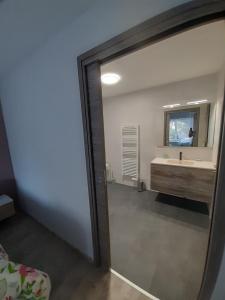 y baño con lavabo y espejo. en gite de La Carrière, en Saint-Julien-de-Piganiol