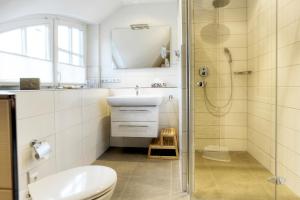 a bathroom with a toilet and a sink and a shower at Haus Windflüchter in Zingst