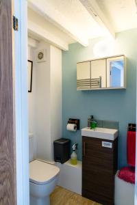 a bathroom with a toilet and a sink at Bwthyn Gweilch in Machynlleth