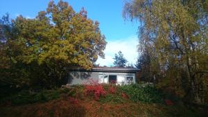 ein kleines Haus inmitten von Bäumen in der Unterkunft Ferienhaus Dornhecke in Hatzfeld
