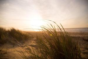 una puesta de sol en la playa con hierba en primer plano en Chalet bis 6 Personen ohne Hund - a17101, en Flüthörn