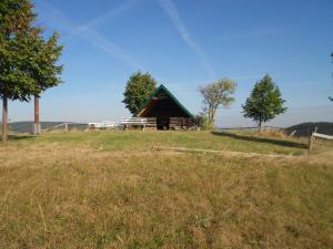 a barn sitting on top of a grass field at Ferienhaus Köllner in Fischbach