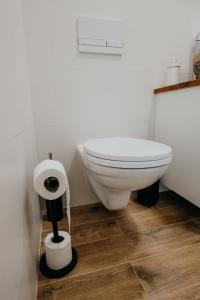 een badkamer met een toilet en een rol toiletpapier bij Apartmán Ve Dvoře Strážnice in Strážnice