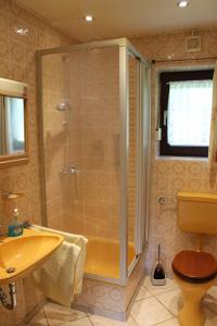 ein Badezimmer mit einer Dusche, einem Waschbecken und einer Badewanne in der Unterkunft Fewo Bayerischer Wald, mit Wlan in Arrach