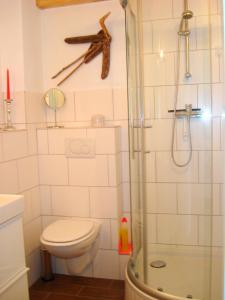 a bathroom with a toilet and a glass shower at "Rosenkate 2" in Riepsdorf