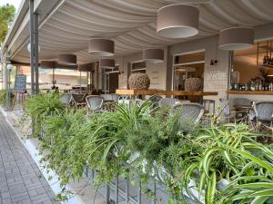 a patio with chairs and plants in a restaurant at Hotel Arena in Lido di Jesolo