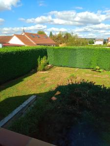 a hedge in a yard with a yard sidx sidx sidx at Chez Mimi 1,7 kilomètres de Luxeuil les Bains in Froideconche