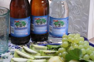 dwie butelki wina i talerz winogron i kiwi w obiekcie Pszczelarnia Dom Pracy Twórczej w mieście Wilkanów
