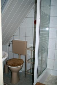 a bathroom with a toilet and a walk in shower at Voß, FW in Zingst