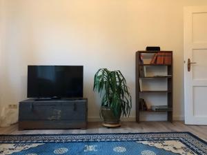 een woonkamer met een televisie en een plant bij Altstadt Apartment in Goslar