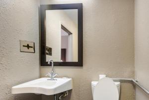 a bathroom with a sink and a toilet and a mirror at Red Roof Inn Savannah – Southside/Midtown in Savannah